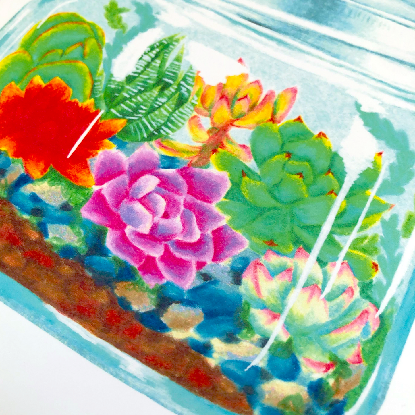 Succulent Terrarium Art Print