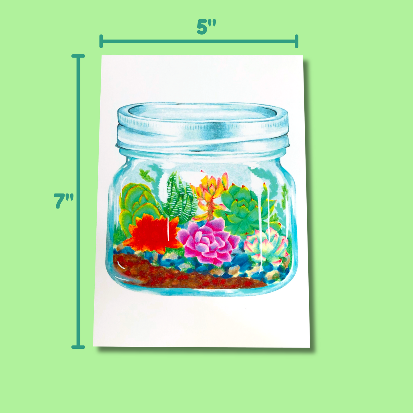 Succulent Terrarium Art Print